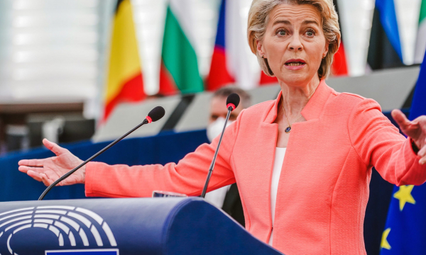 В Германии расширение БРИКС назвали поражением для фон дер Ляйен и Борреля